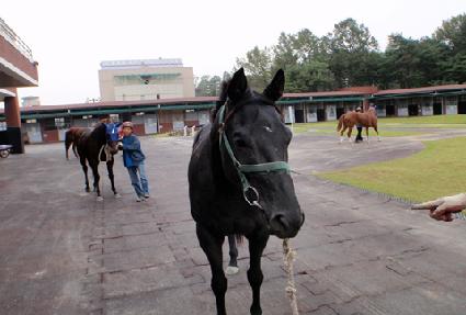 ��ī�帮�� ����