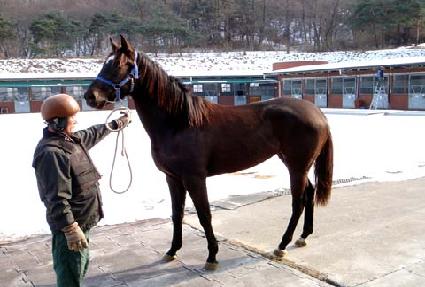 ��������� ����