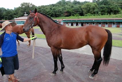 ���帶���� ����