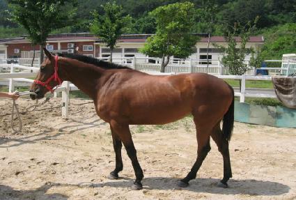 ������ ����