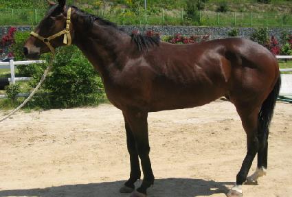 �����۽�Ʈ ����