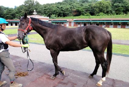 �¸����Լ� ����