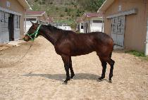 ��� (JANGSAN) ����