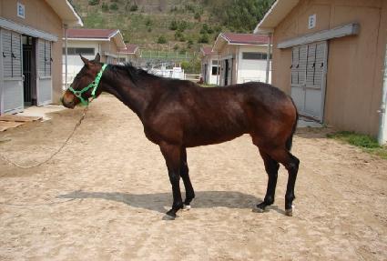 ��� ����