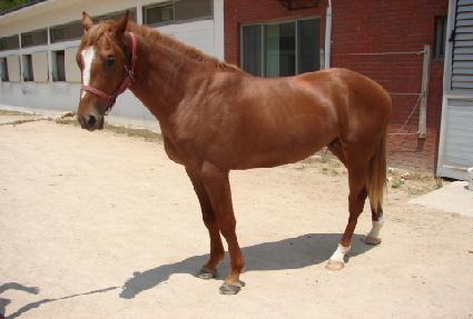 �۽�Ʈ�Ƿ��� ����