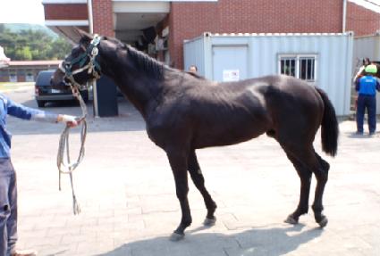 ������ ����