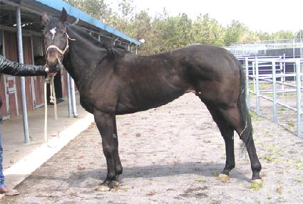 �����ǹ̼� ����