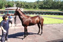 �����Ǻ� (GAMDONGUIBIT) ����