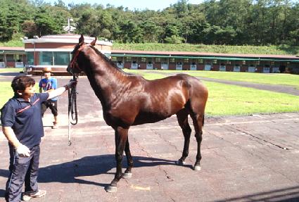 �����Ǻ� ����