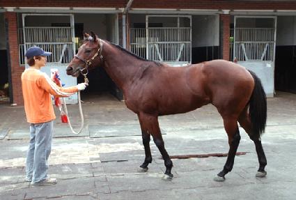 ���缾���̼� ����