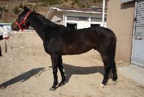 POWERFUL KOREA picture