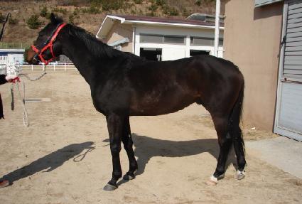 �Ŀ�Ǯ�ڸ��� ����