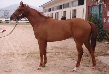 ��ū���� ����