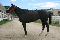 ������丮 (SAND VICTORY) ����