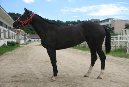 ������丮 ����