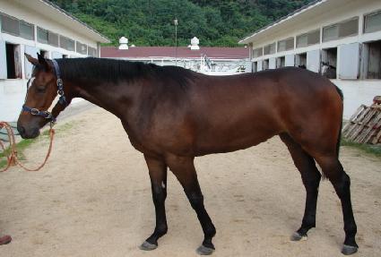 �帲���̴� ����