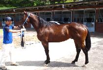 ���۽�Ÿ (SUPER STAR) ����