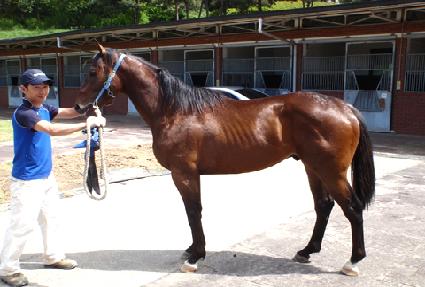 ���۽�Ÿ ����