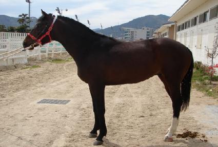 �Ƹ��ٿ���� ����