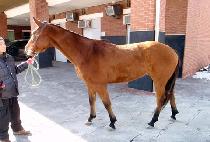 ���ѱ�ó�� (OTTUGICHEOREOM) ����