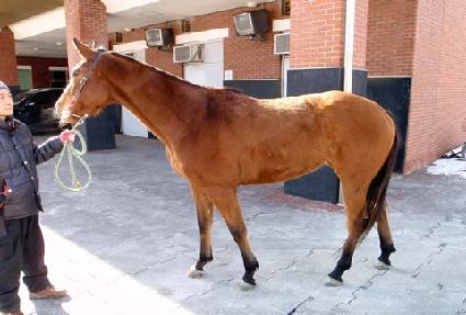 ���ѱ�ó�� ����