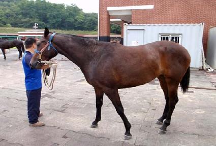 ���̿�è�Ǿ� ����