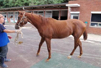 ������ ����