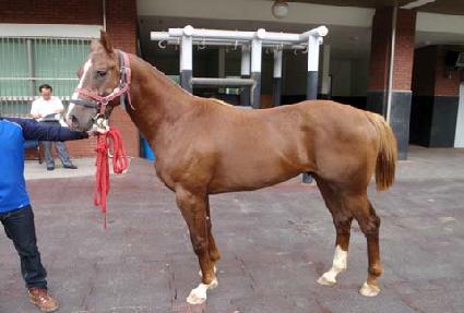 �������� ����