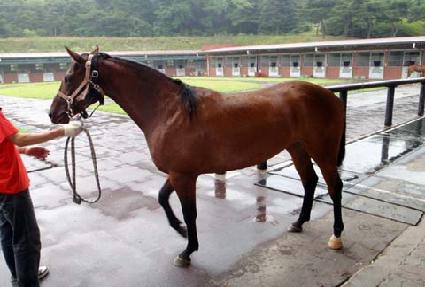 ������ ����