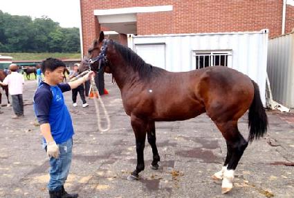 ��ġ�÷��̾� ����