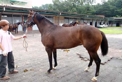 �ԹǷλ� ����