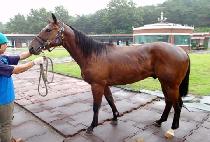 �κ��̴� (INVADER) ����