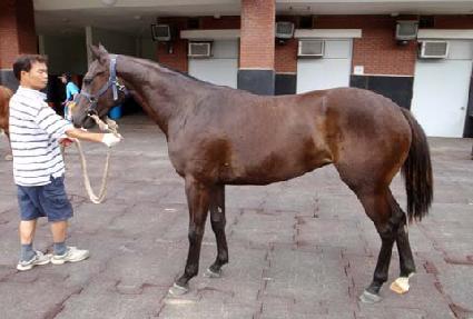 �κ����� ����