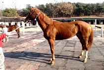 ���콺���� (ZEUS YEOIN) ����