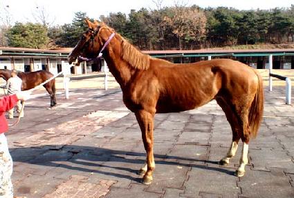 ���콺���� ����