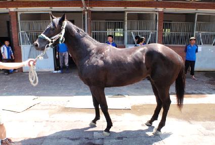 ��õŻȯ ����