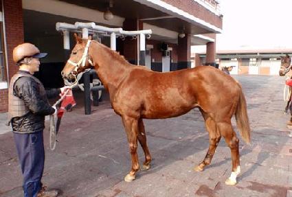 ������� ����