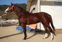 GANGSAN MUJEOK picture