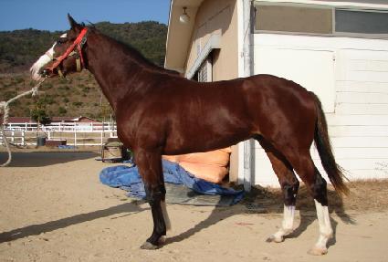 ���깫�� ����