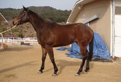 ��ºҺ� ����