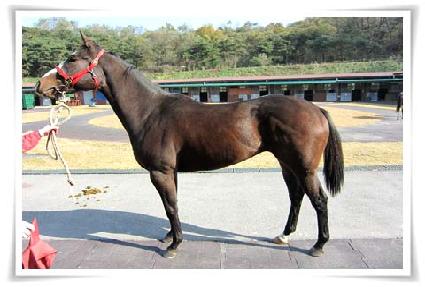 �����ϰ� ����