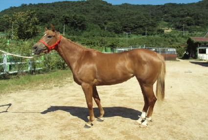 �ƺ��� ����