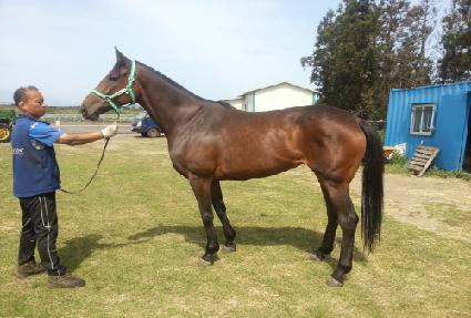 �ݻ�� ����