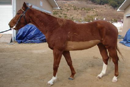 ������ ����