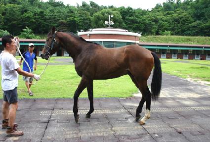 ũ���产 ����