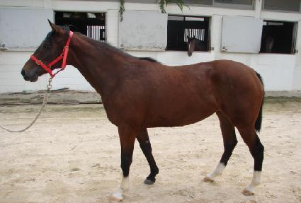 ���̿����� ����