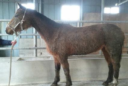 ��Ű�ڽ� ����