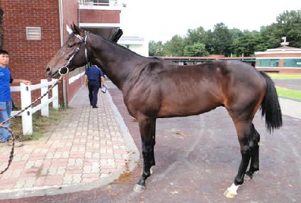 ���̿��Ͼ� ����