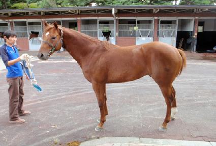 ø�� ����