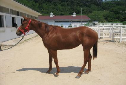 �������� ����